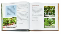 Garten & Natur|Gartenbücher * BLV Buchverlag Der Selbstversorgerbalkon