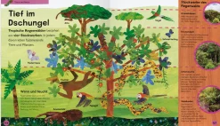 Kinderbücher|Ratgeber * Gerstenberg Verlag Die kleine Raupe Nimmersatt