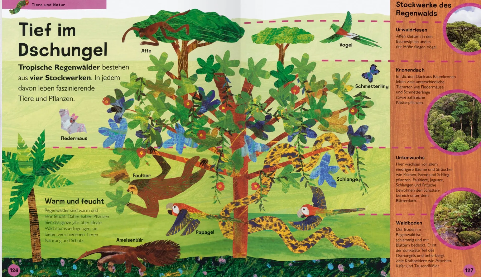 Kinderbücher|Ratgeber * Gerstenberg Verlag Die kleine Raupe Nimmersatt