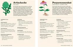 Garten & Natur|Ratgeber * Dorling Kindersley Verlag Die pflanzliche Hausapotheke