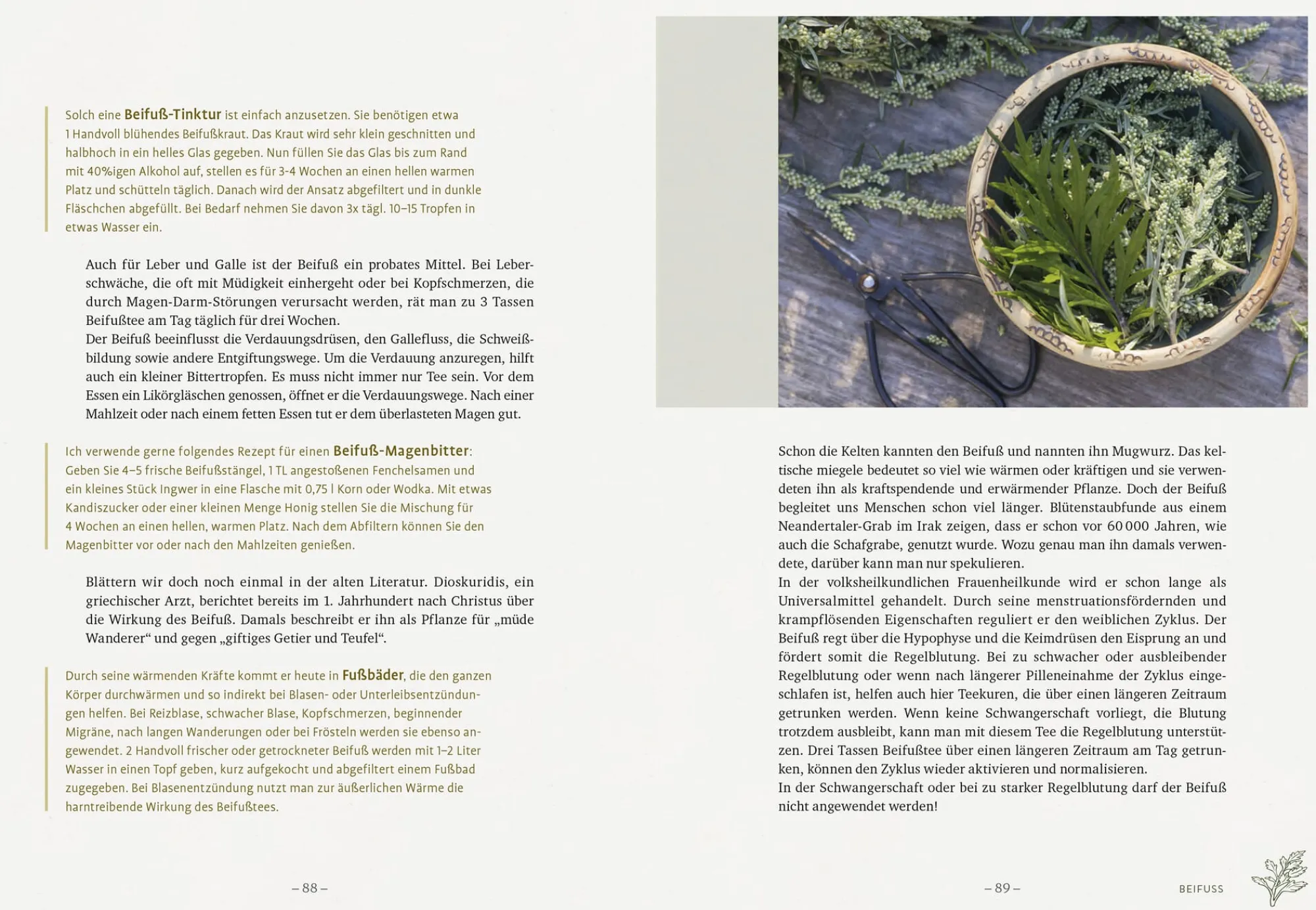 Garten & Natur|Ratgeber * Ulmer Verlag Die wilden Neun
