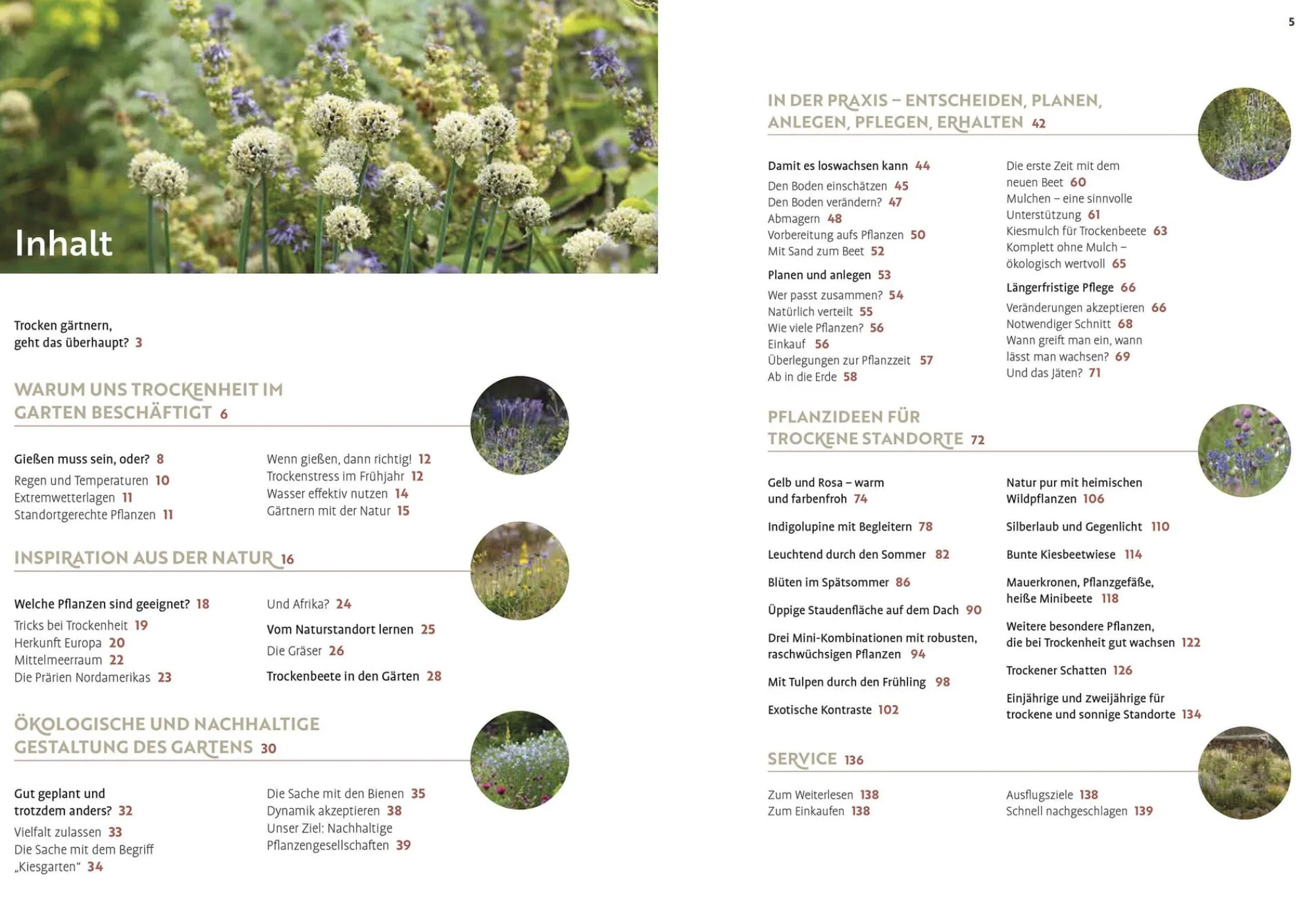 Garten & Natur|Ratgeber * Ulmer Verlag Echte Hitzeprofis