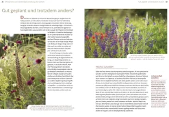Garten & Natur|Ratgeber * Ulmer Verlag Echte Hitzeprofis