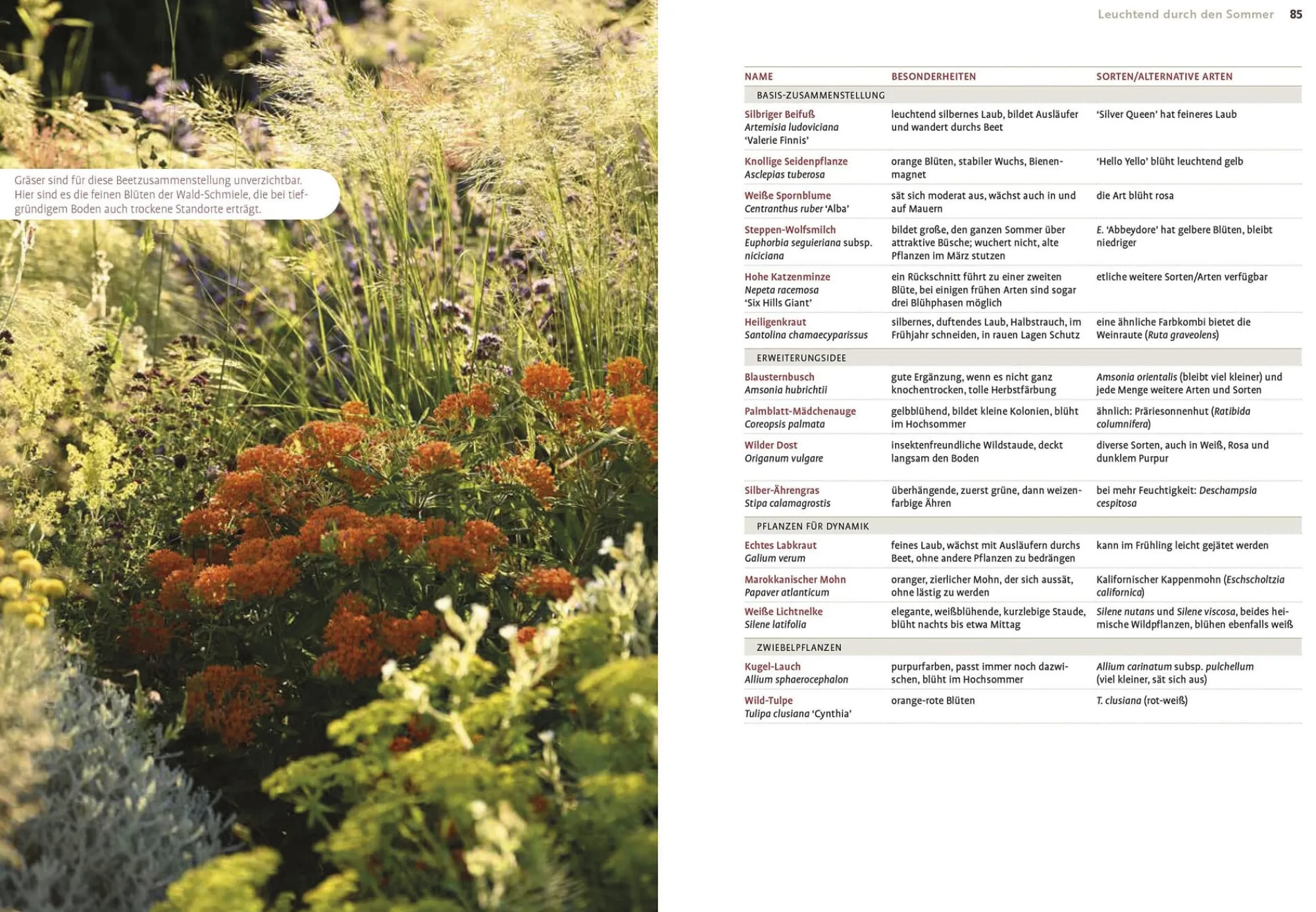 Garten & Natur|Ratgeber * Ulmer Verlag Echte Hitzeprofis