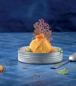 Kochen & Backen|Ratgeber * Callwey EIS -