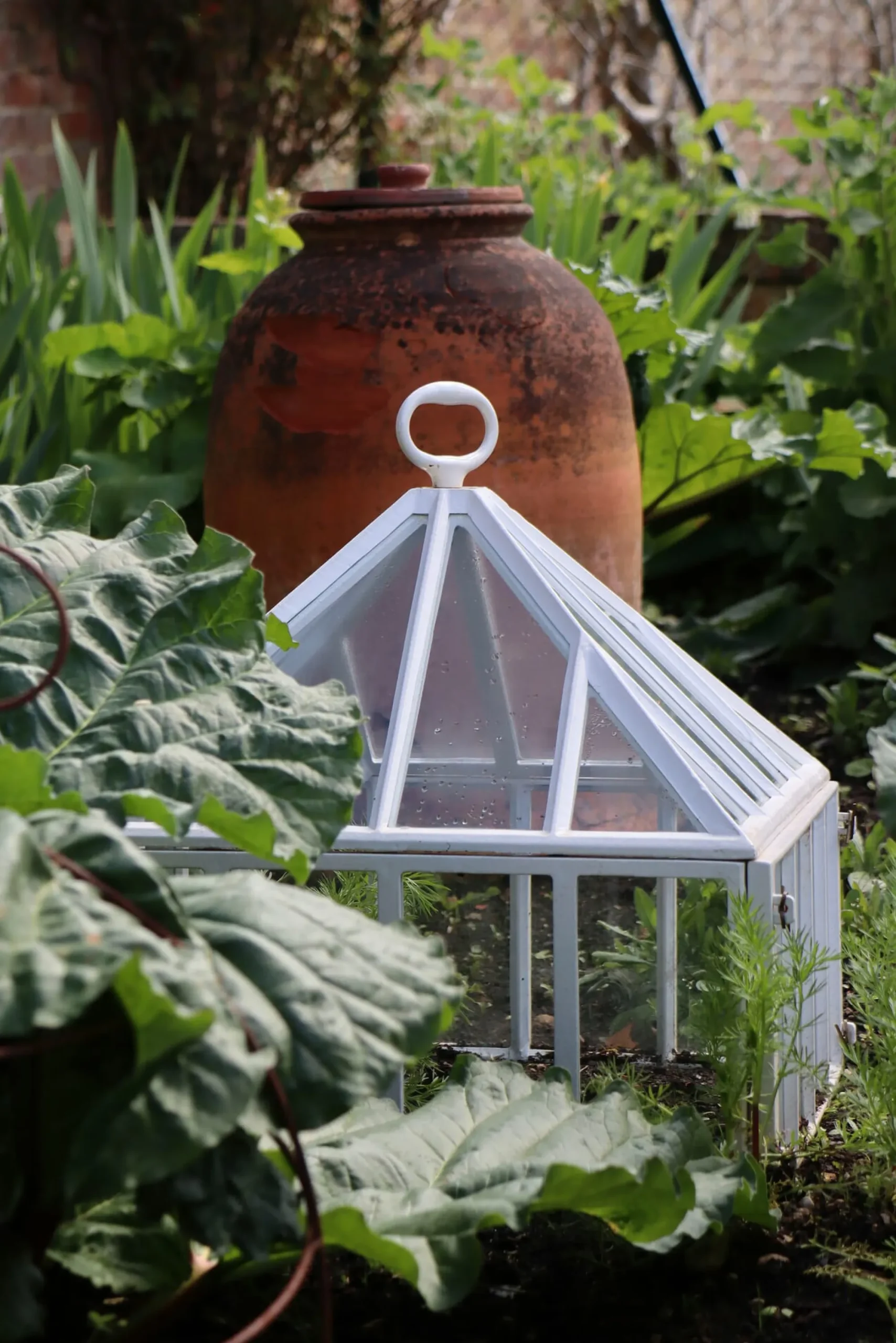 Gewächshäuser * Claverton Cloches Englische Frühbeetglocke