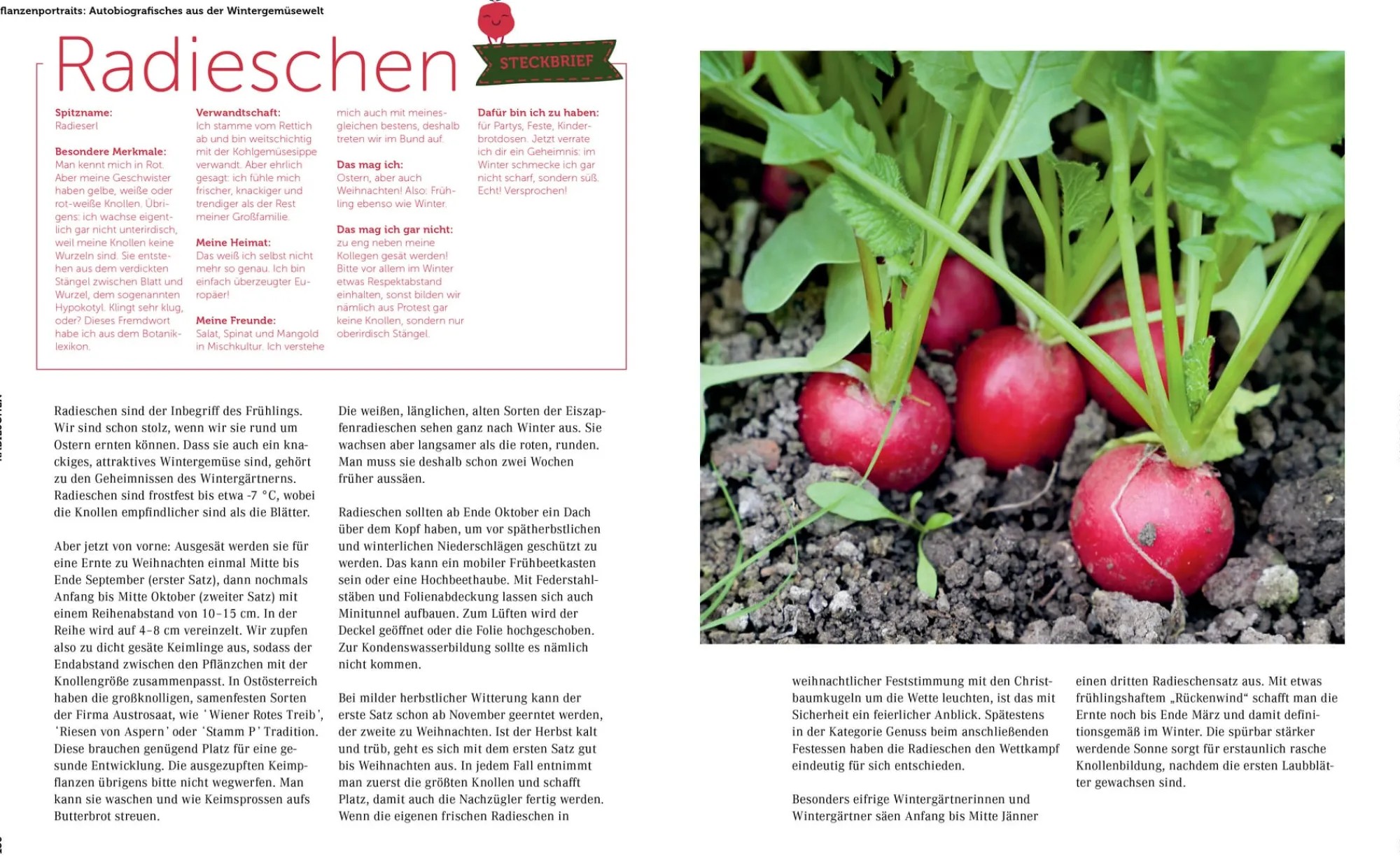 Kochen & Backen * Löwenzahn Verlag Ernte mich im Winter