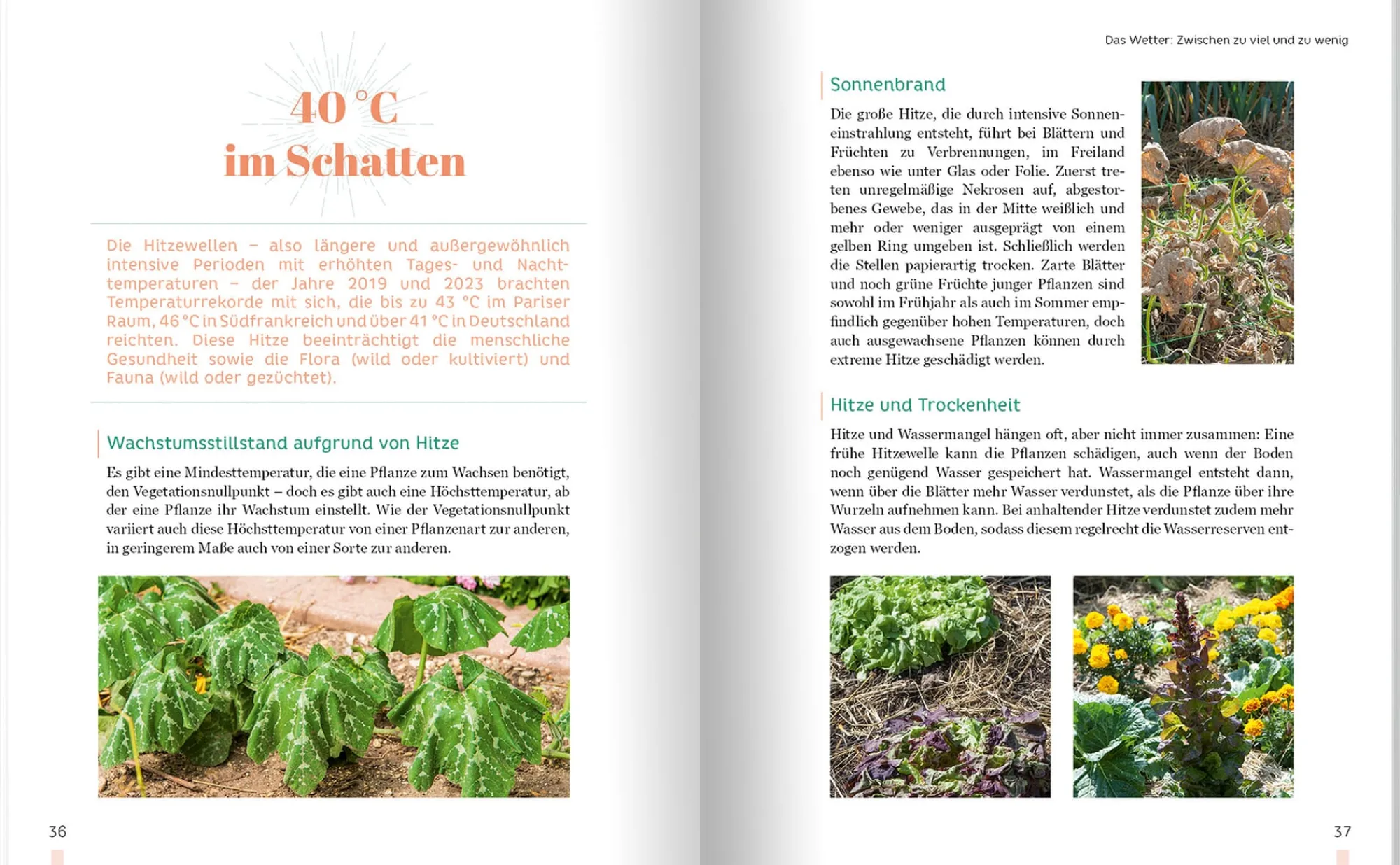 Garten & Natur|Ratgeber * Landwirtschaftsverlag Erntewunder trotz Wetterchaos