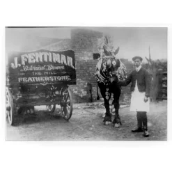 Limonaden * Fentimans Curiosity Cola