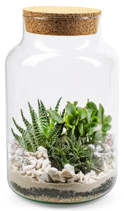 Zimmergärtnerei|Pflanzenvermehrung * Jodeco Glass Flaschengarten mit Substrat