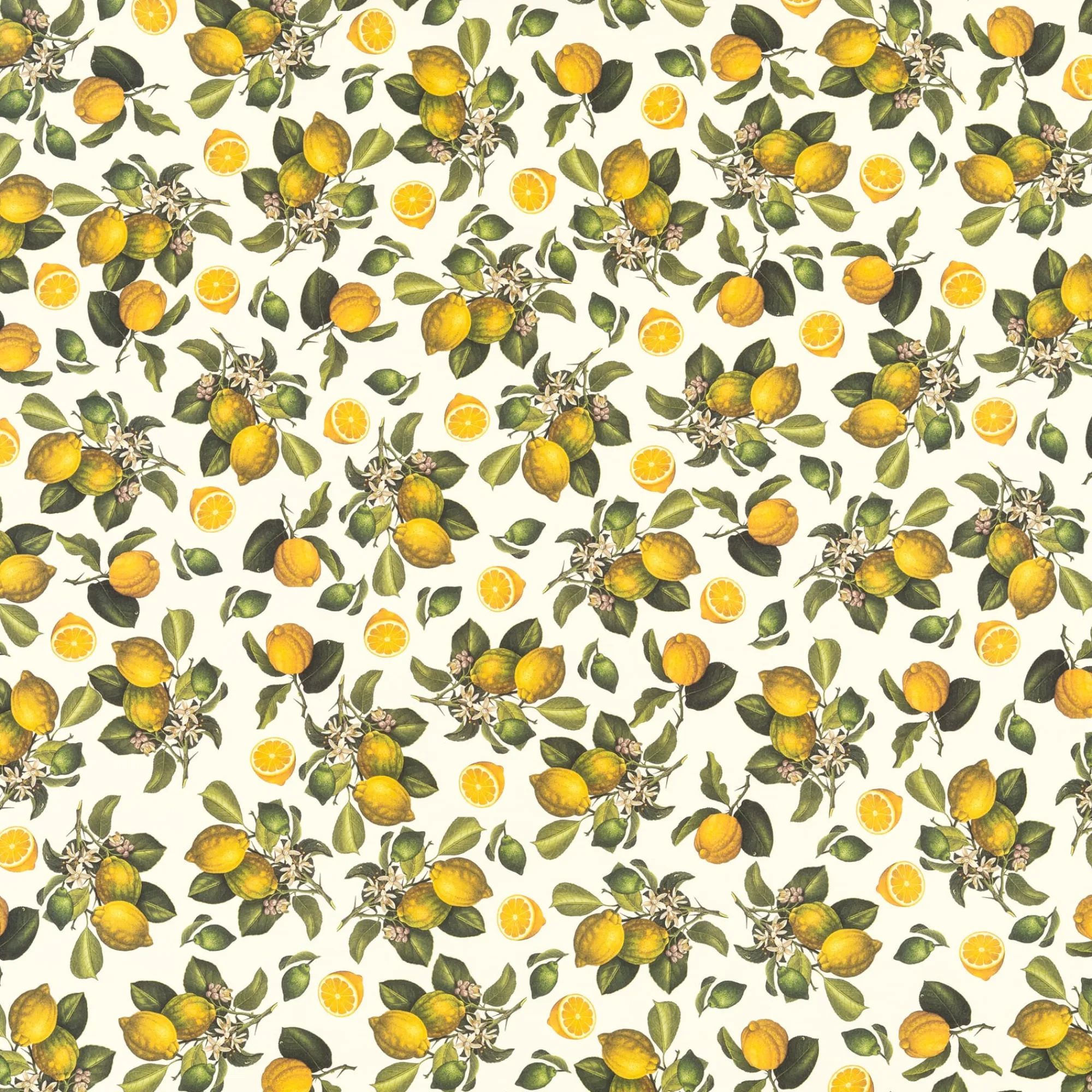 Papeterie * Manufactum Florentiner Papier Pimpernellen