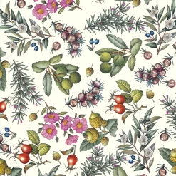 Papeterie * Manufactum Florentiner Papier Pimpernellen