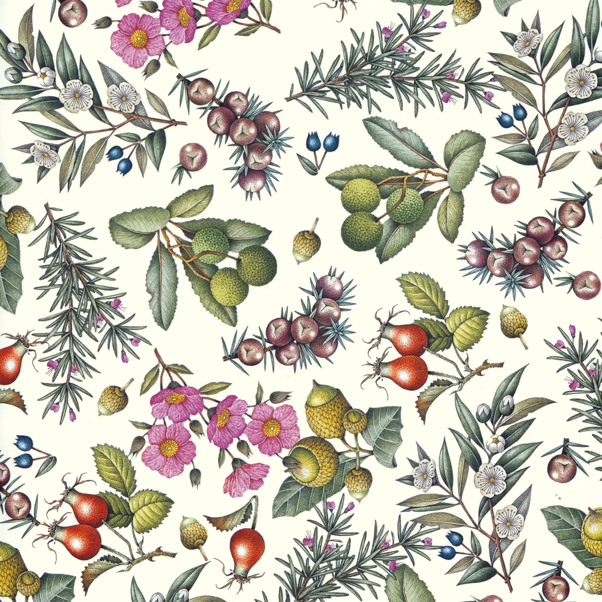 Papeterie * Manufactum Florentiner Papier Pimpernellen