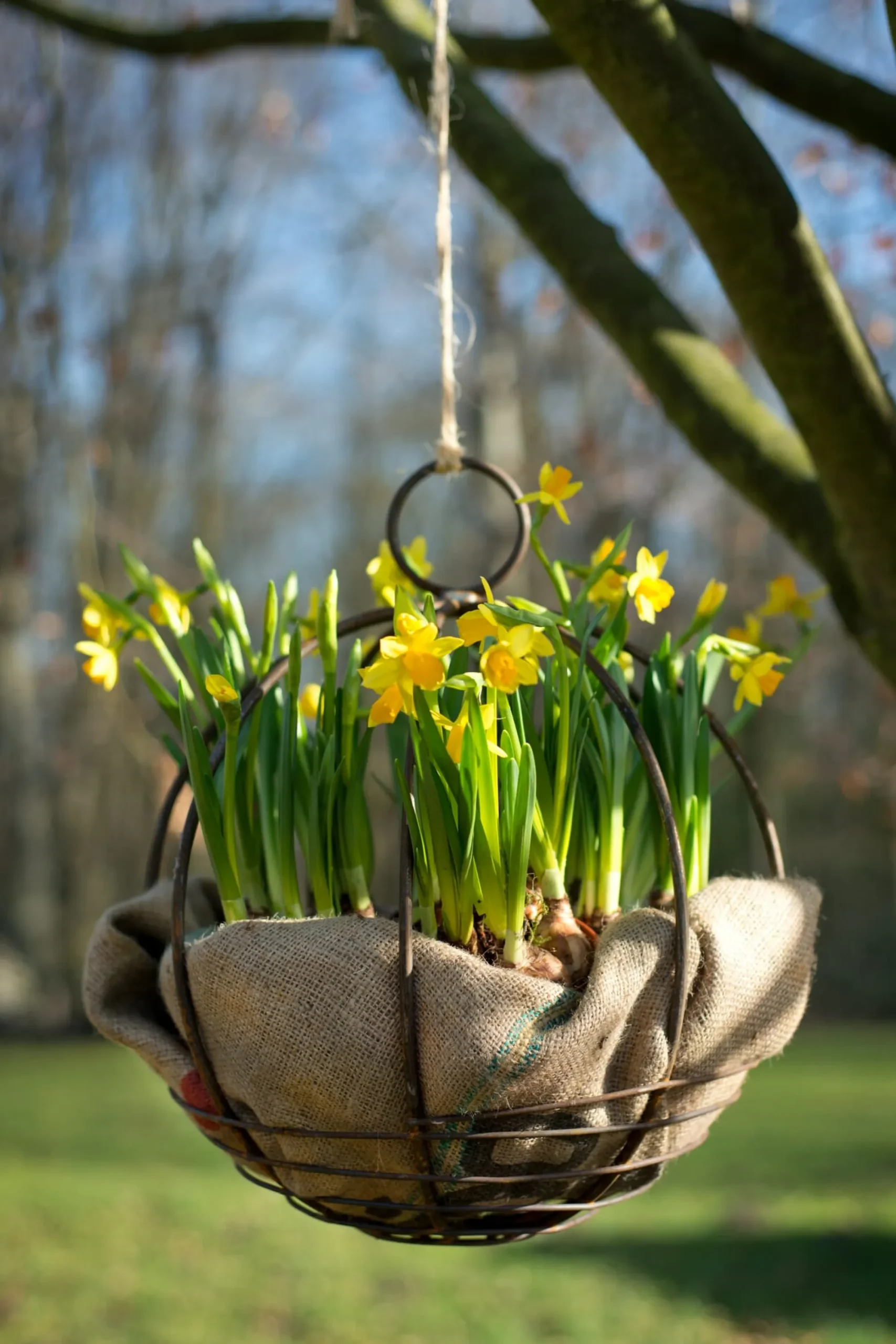 Pflanzgefäße * Timmasiru Gartenkugel zum Hängen