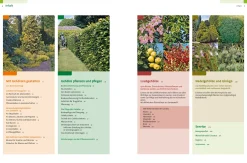 Garten & Natur|Ratgeber * Ulmer Verlag Gehölze von A-Z