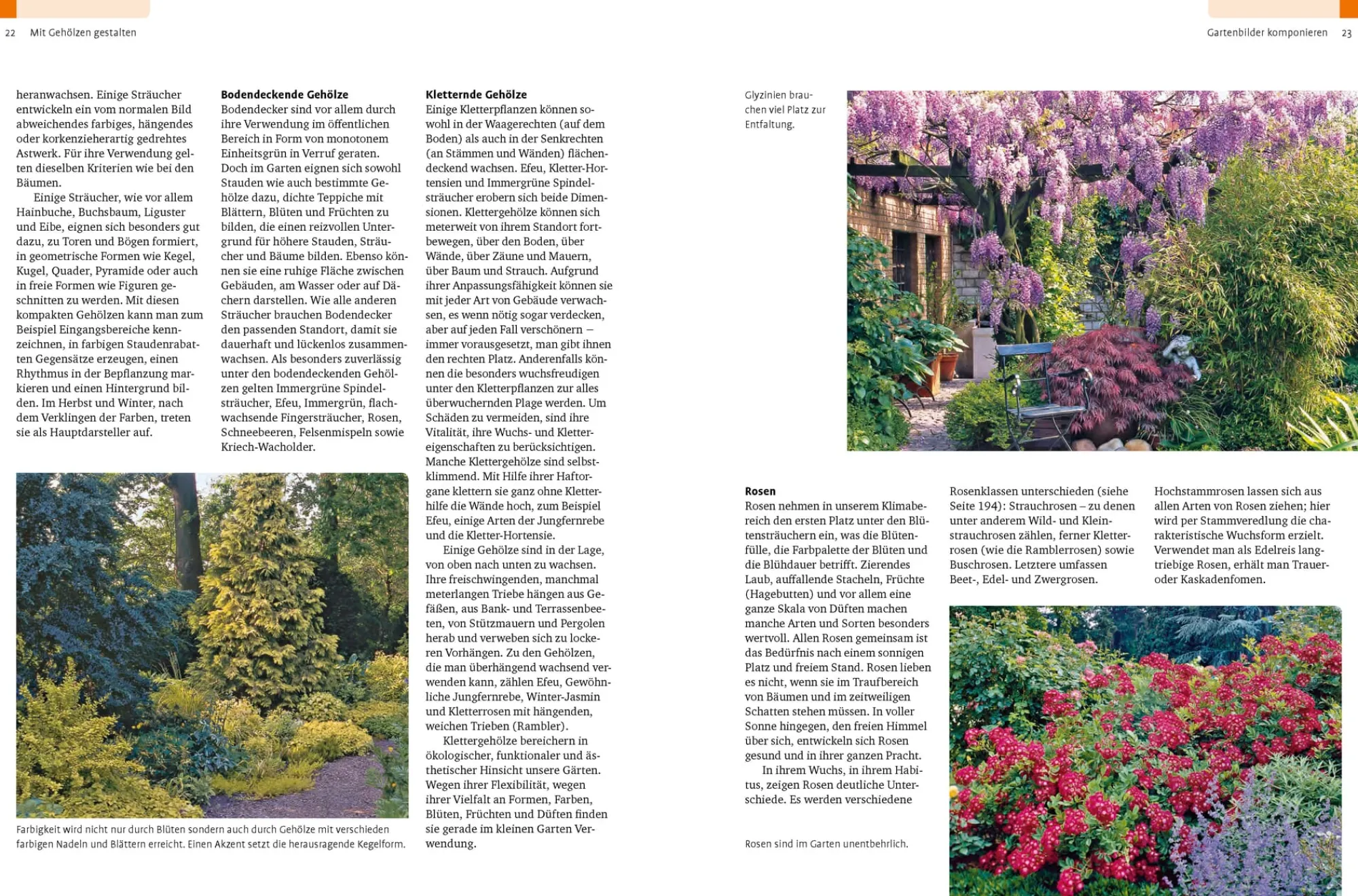 Garten & Natur|Ratgeber * Ulmer Verlag Gehölze von A-Z