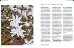 Garten & Natur|Ratgeber * Ulmer Verlag Gehölze von A-Z