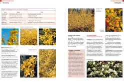 Garten & Natur|Ratgeber * Ulmer Verlag Gehölze von A-Z