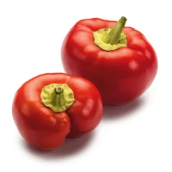 Gemüsesamen|Gemüsepflanzen * Manufactum Gemüsesamen Besondere Chilis und Paprika