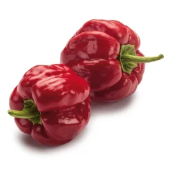 Gemüsesamen|Gemüsepflanzen * Manufactum Gemüsesamen Besondere Chilis und Paprika
