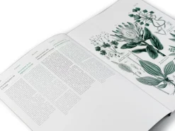 Papeterie * Geschenkpapier Pepin
