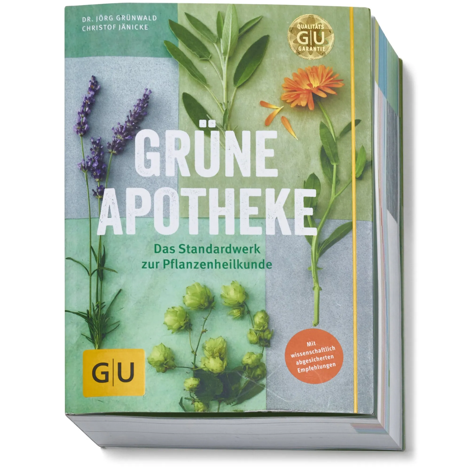 Ratgeber * Gräfe und Unzer Verlag Grüne Apotheke. Das Standardwerk zur Pflanzenheilkunde Dr. Jörg Grünwald und Christof Jänicke