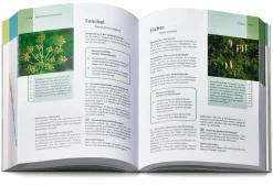 Ratgeber * Gräfe und Unzer Verlag Grüne Apotheke. Das Standardwerk zur Pflanzenheilkunde Dr. Jörg Grünwald und Christof Jänicke
