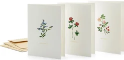 Papeterie * Büttenpapierfabrik Gmund Grußkarten Blumen