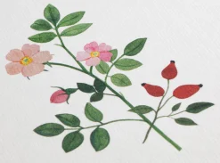 Papeterie * Büttenpapierfabrik Gmund Grußkarten Blumen