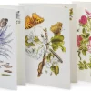 Papeterie * Favoritenpresse Grußkarten Blumenmotive Maria Sibylla Merian