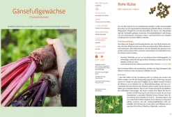 Garten & Natur|Ratgeber * Löwenzahn Verlag Handbuch Samengärtnerei