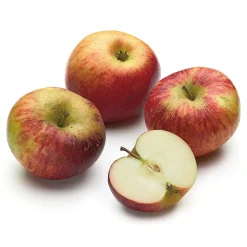 Obstgehölze * Martin Müller Baumschulen Herbstapfel 'Prinz Albrecht von Preußen'