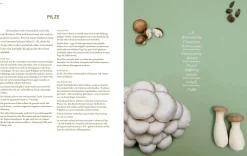 Kochen & Backen * Christian Brandstätter Verlag Immer wieder vegan