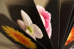 Zeitplaner & Kalender * Seltmann Publishers Jahreskalender Flamboyant Flowers