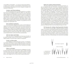 Kochen & Backen|Sachbücher * Edition Wurzer & Vilgis Journal Culinaire