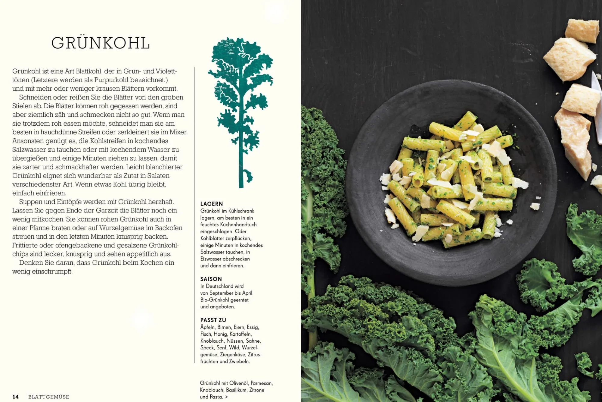 Kochen & Backen * Die Gestalten Verlag Junges Gemüse