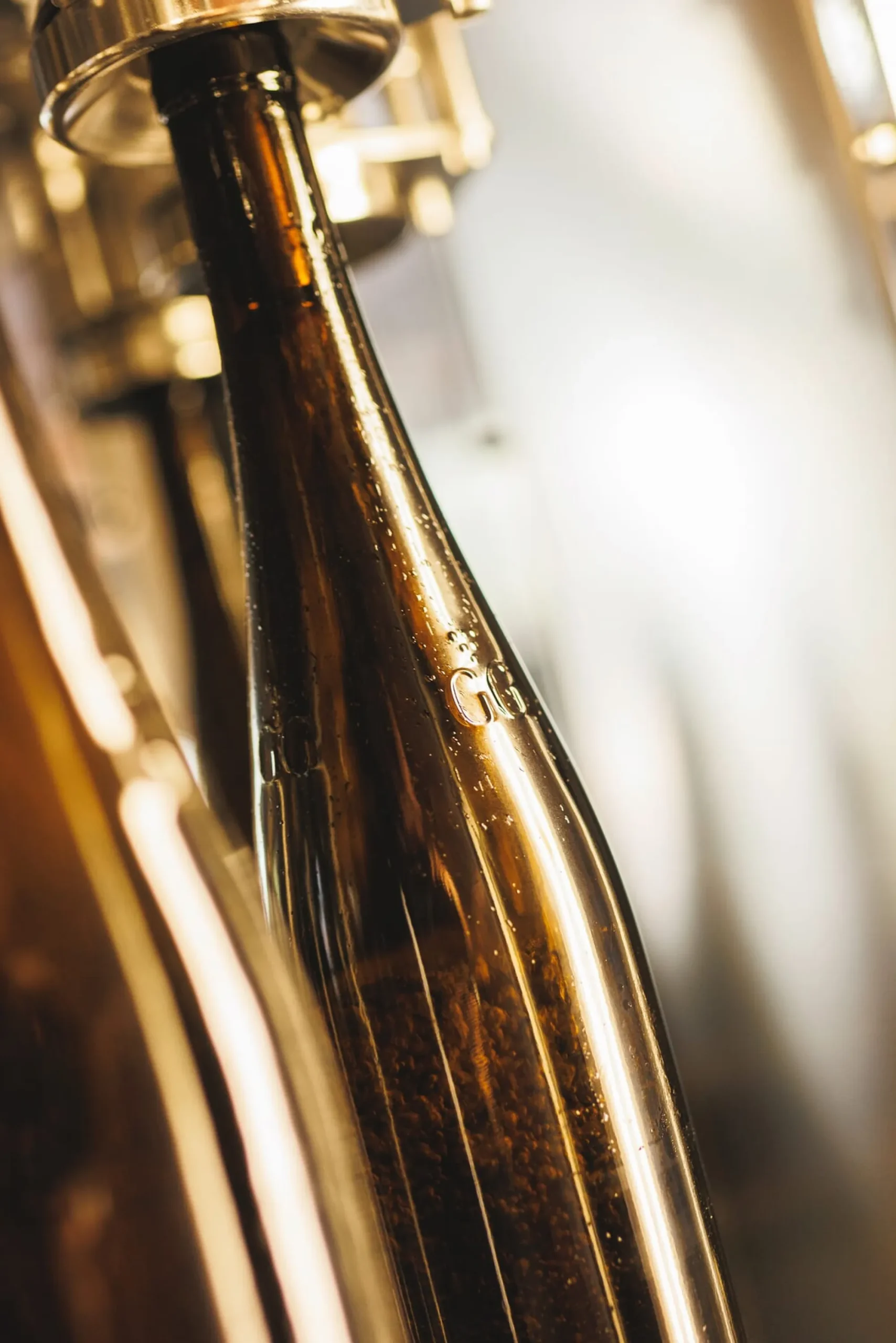 Weine * Weingut Winter Kalkstein Riesling