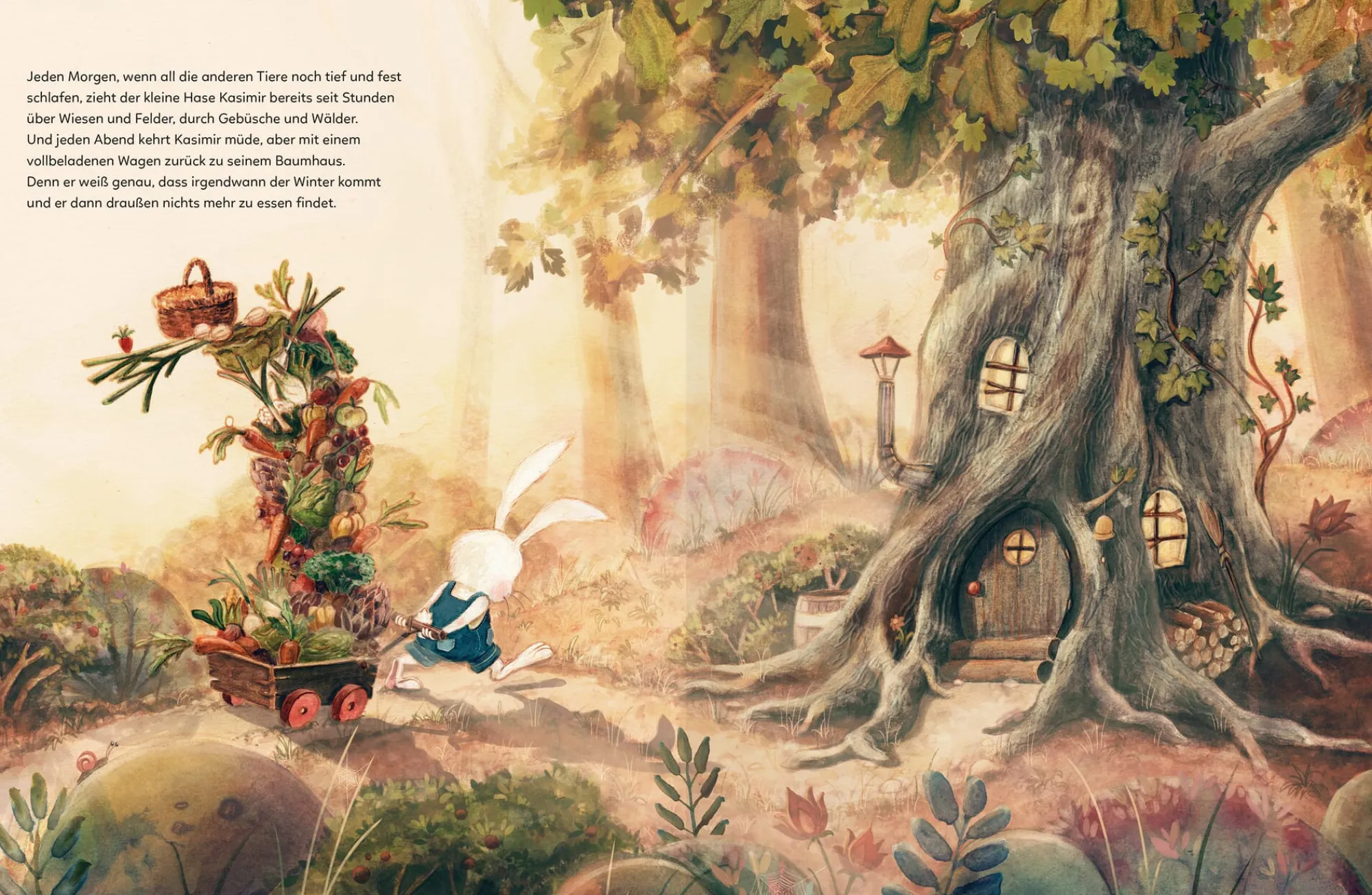 Kinderbücher|Kinderbücher * Gerstenberg Verlag Kasimir hat einen Vogel