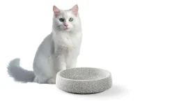 Alles Für Das Haustier * Denk Keramische Werkstätten Katzennapf Granitkeramik