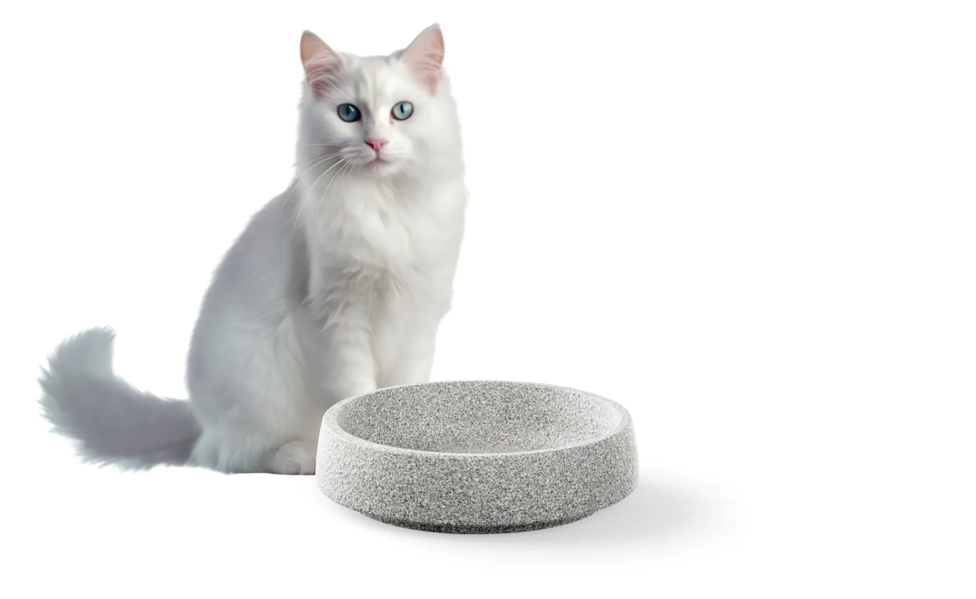 Alles Für Das Haustier * Denk Keramische Werkstätten Katzennapf Granitkeramik