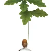 Vasen & Schalen * Keimglas Ilex