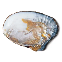 Schmuck * Ménard Kette Süßwasserperlen