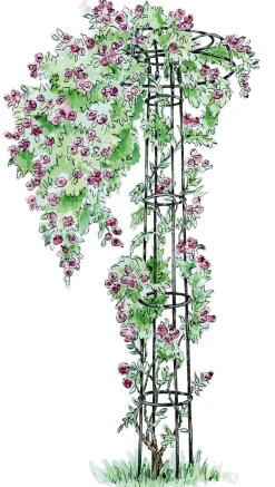Gartendekoration * Manufactum Rosenschirm Stahl