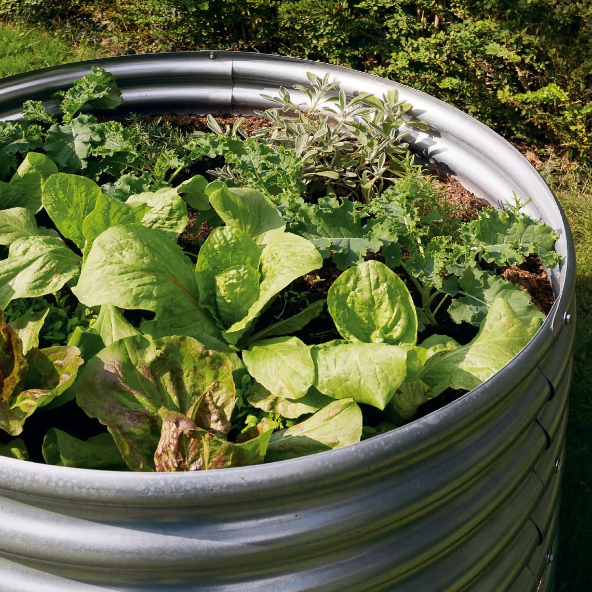 Pflanzenvermehrung|Hochbeete * Manufactum Tomatenring Wellblech