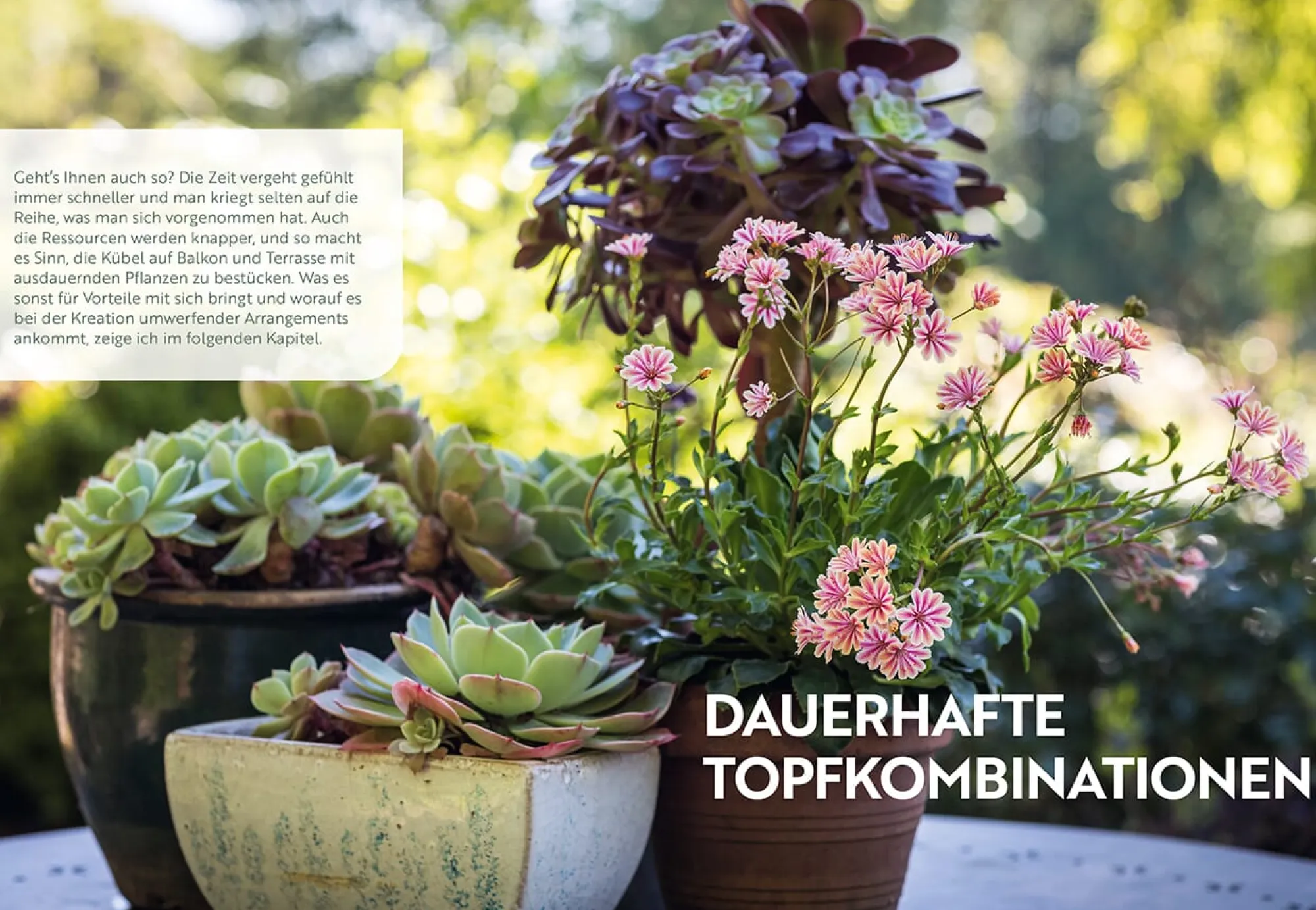 Garten & Natur|Ratgeber * Ulmer Verlag Mein Garten wächst im Topf