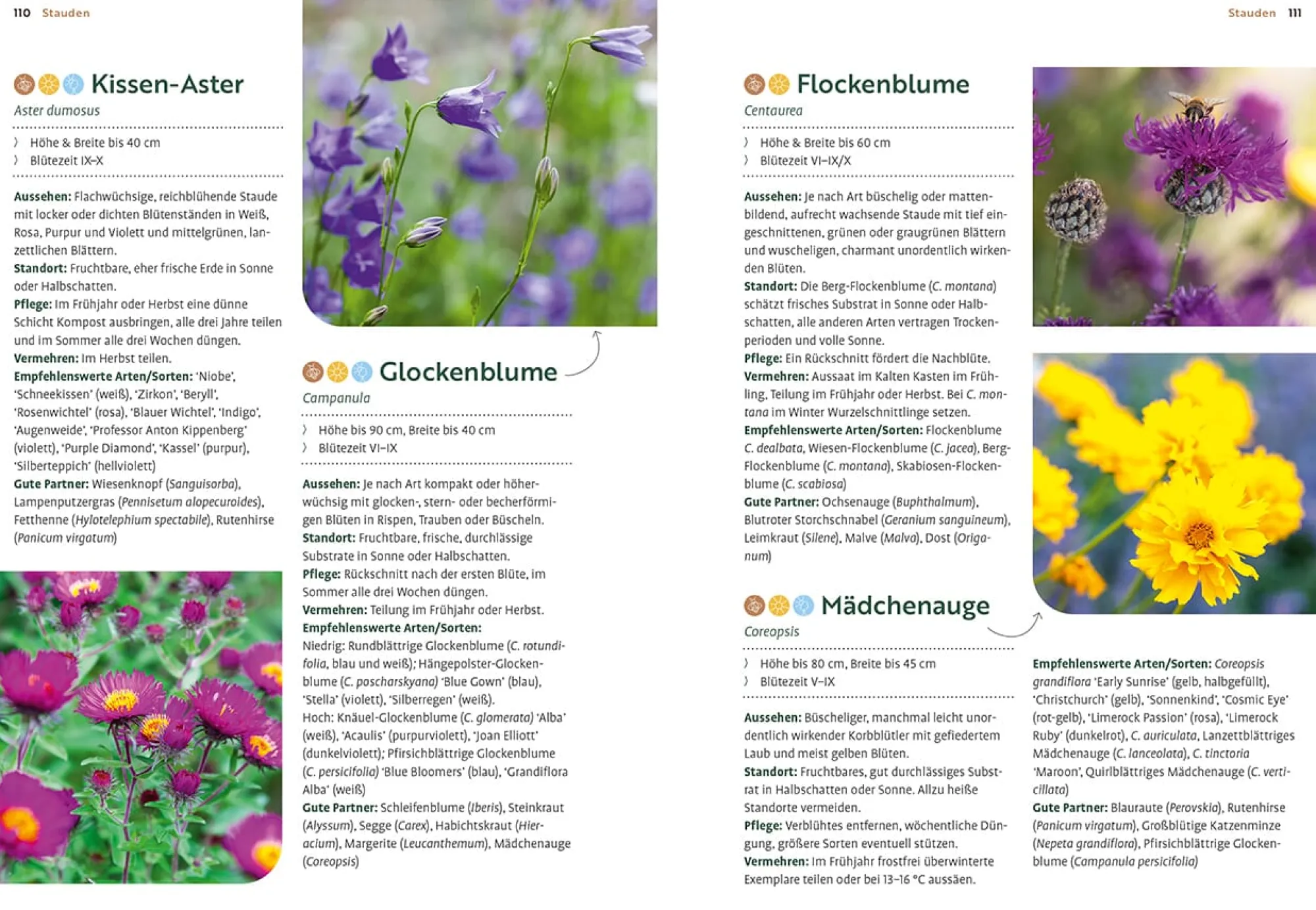Garten & Natur|Ratgeber * Ulmer Verlag Mein Garten wächst im Topf