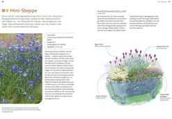Garten & Natur|Ratgeber * Ulmer Verlag Mein Garten wächst im Topf