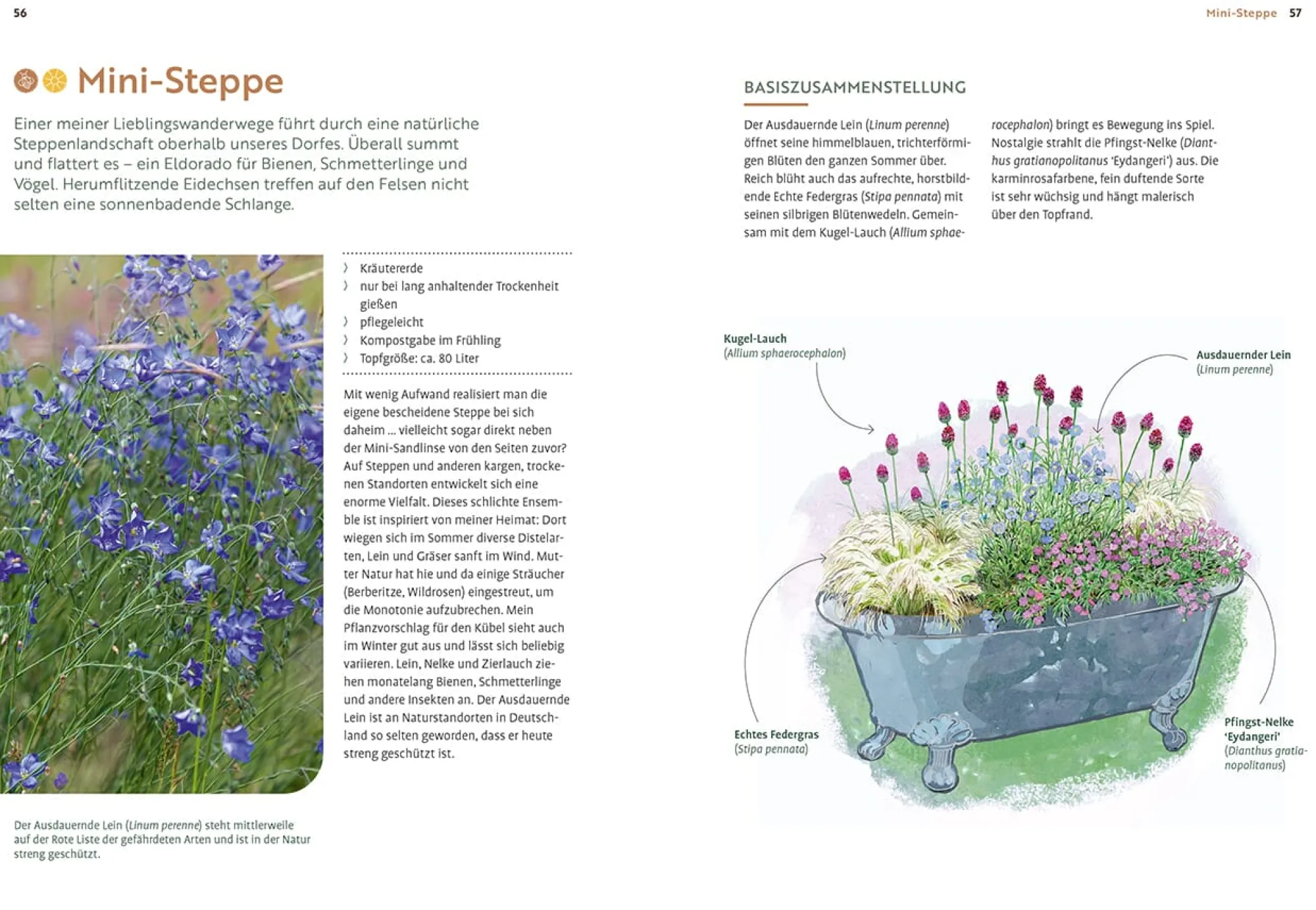 Garten & Natur|Ratgeber * Ulmer Verlag Mein Garten wächst im Topf
