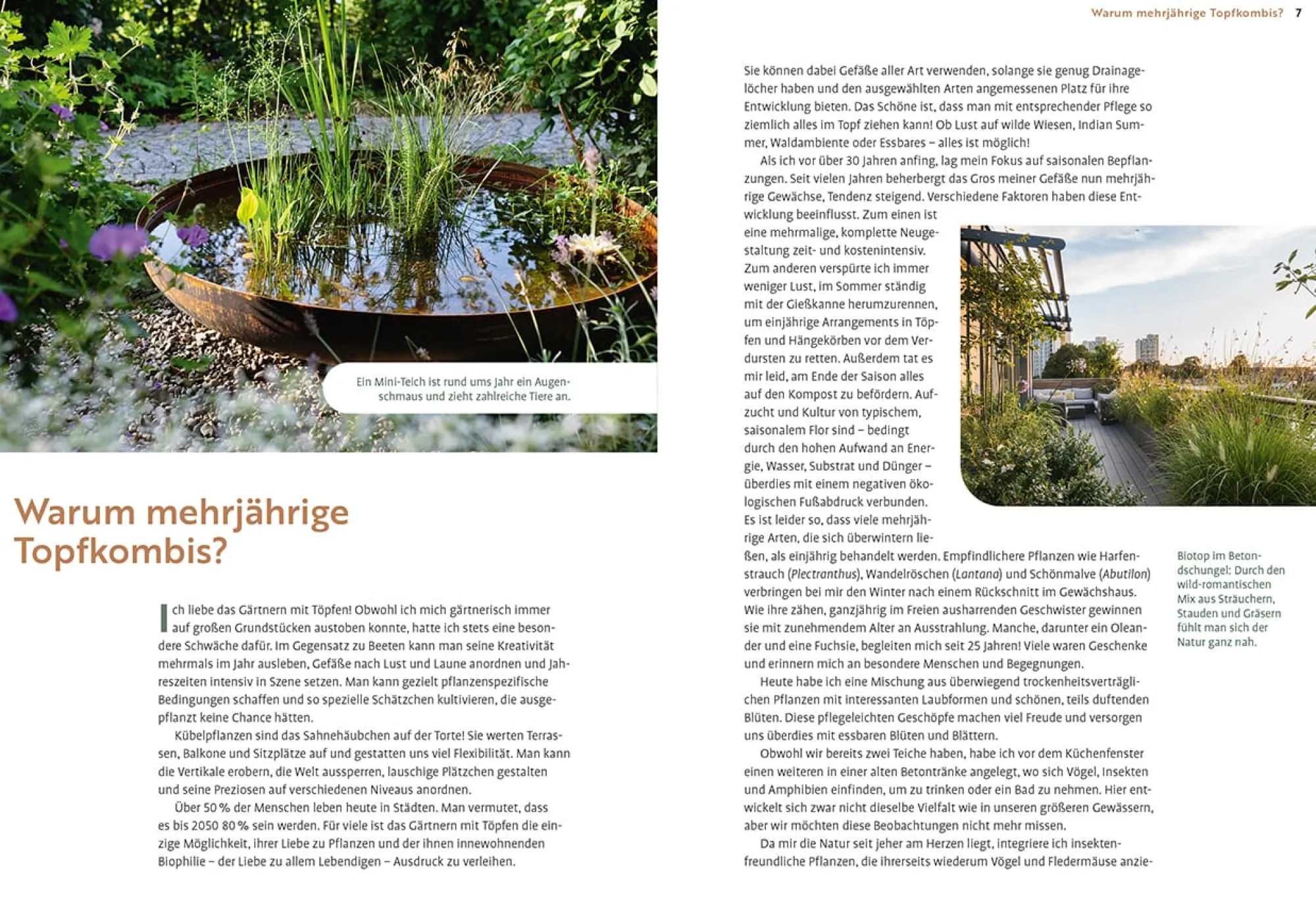 Garten & Natur|Ratgeber * Ulmer Verlag Mein Garten wächst im Topf