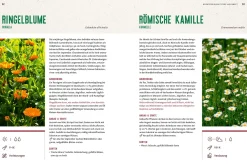Garten & Natur|Ratgeber * Ulmer Verlag Mein Heilpflanzen-Hochbeet